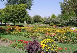 اجرای طرح آبیاری قطره ای با استفاده از پسآب های زاید فاضلاب ها در دانشگاه شهرکرد