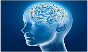 ارایه آخرین دستاوردهای پیشگیری از بیماری های مغز و اعصاب