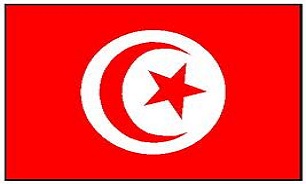 تونس حملات رژيم صهيونيستي به غزه را محکوم کرد