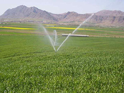 آغاز توسعه طرح بیمه محصولات زراعی در مازندران