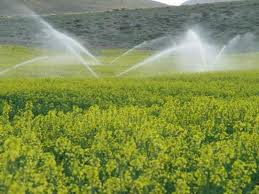 طرح‌ آبیاری تلفیقی در خراسان‌رضوی الگویی برای کشاورزی کشور است