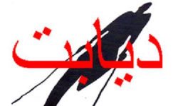 شكل گیری فرهنگ صحیح تغذیه نقش موثری در كنترل بیماری دیابت دارد
