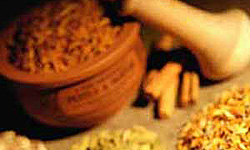 کشت گیاهان دارویی در آذربایجان‌شرقی توسعه می‌یابد