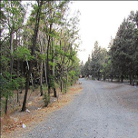 احداث پارک ثامن در ابتدای جاده قم- گرمسار