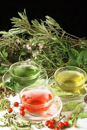 رویش 58 گونه گیاهان دارویی ارزشمند در بشرویه
