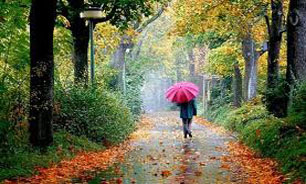 پاییز،سمفونی دلتنگی آدم‌ها + فیلم