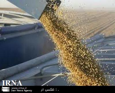صدور 300 فقره مجوز بهداشتي ترخيص واردات نهاده هاي دامي ازدامپزشكي مازندران