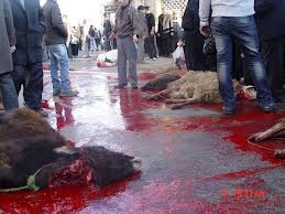 نظارت بر ذبح دام در کشور تشديد شده است