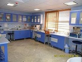 توسعه آزمایشگاه ‏های ملی راهی برای در آمدزایی دانشگاه‏ های آزاد است