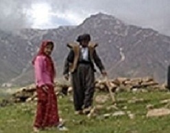 معرفی فیلم های راه یافته به جشنواره فیلم بام ایران