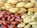 بادام زمینی خطر ابتلا به دیابت را كاهش می دهد