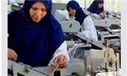 تحقق 45 درصد از تعهد اشتغال سال91 در مرودشت