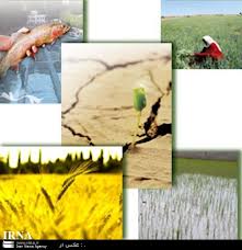 اجرای آزمایشی سرشماری عمومی کشاورزی در گیلان