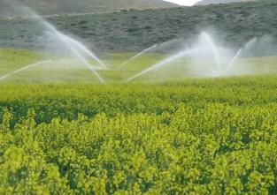 زمینهای كشاورزی در سیستان از آب چاه نیمه ها تغذیه شدند