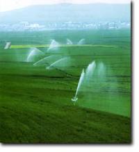 ابلاغ هزار و 873 میلیارد ریال تسهیلات طرح توسعه کشاورزی