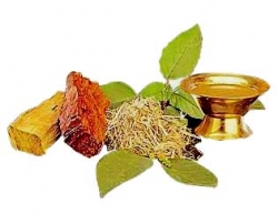 خواص درمانی گیاه برباله