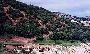 ثلاث باباجانی کجاست؟