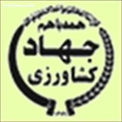 صدور 63 فقره پروانه بهره برداری پرورش گاو شیری در شهرستان قائمشهر