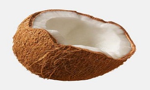 نارگيل و خواص آن