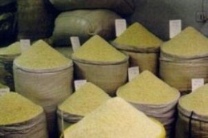 آغاز توزیع برنج ارزان قیمت در استان چهارمحال و بختیاری