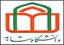 الگو پذیری مقاومت اسلامی از فرهنگ عاشورایی قطعی است