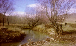 روستای فش کجاست؟