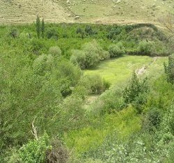 محل سیاحتی ،گردشگری 'باغ فردوس' دوگنبدان به بخش خصوصی واگذار شد