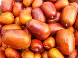 گیاهی ضد افسردگی