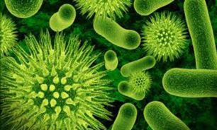 رونمایی اولین کلکسیون باکتری های اسیدلاکتیک و پروبیوتیک در خاورمیانه