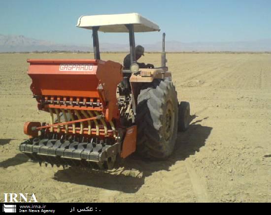 اعطای تسهیلات برای خریدبذرگندم در شهرستان مهاباد