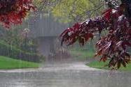 رشد 12 درصدی بارندگی در زنجان
