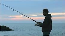 افزایش سرانه مصرف ماهی در استان مرکزی تا پایان برنامه پنجم توسعه