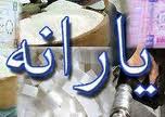 یارانه یک سال بنزین یک خودرو، معادل قیمت برنج یک سال10خانواده