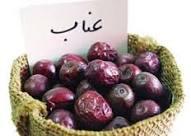 عناب؛ نرم‌کننده سینه