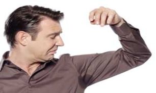 غدد عرق در درمان زخم‌ها مؤثرند
