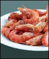 میگو زیر ذره بین تغذیه