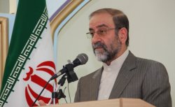 رفع مشكلات كردستان در گرو تعامل بیشتر نمایندگان با دولت است