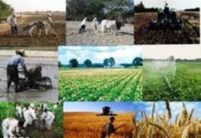 تصویب 10 طرح در كارگروه توسعه كشاورزی شهرستان اردل