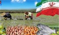 صدور بیش از 200 هزار تن انواع محصولات کشاورزی به خارج از کشور