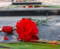 ستارگان باشکوه خاکی!
