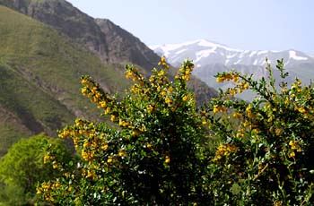 امروز کجا برويم ؟