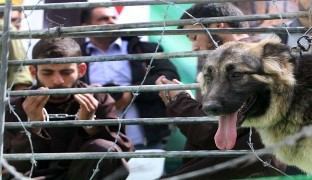 پرتاب 3 فروند موشک خمپاره ای از نوار غزه به سمت جنوب فلسطین اشغالی