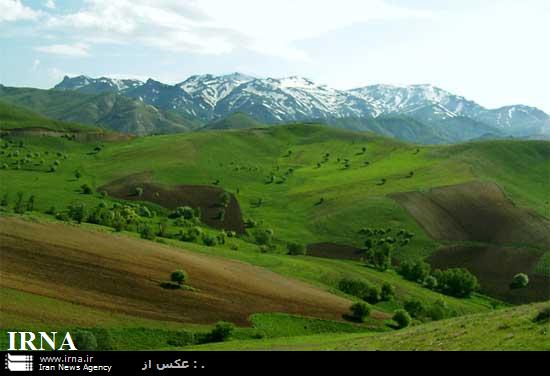 آتش سوزی، شاخه زنی و گرد و غبار  تهدیدی برای جنگل های کردستان