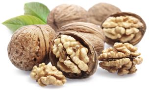 پرطرفدارترین بوهای دنیا را بشناسید؟