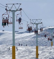 شروع بهار و آغاز خواب زمستاني