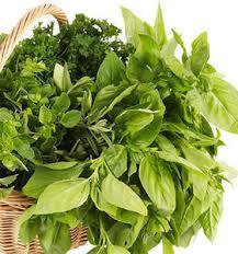 آنچه درباره خواص ریحان نمی‌دانید