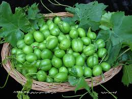 گوجه سبز چربی سوز طبیعی است