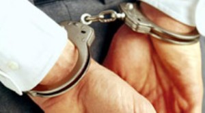 دستگیری 2 شرور با 3 فقره قتل و  16 فقره شرارت در فارس