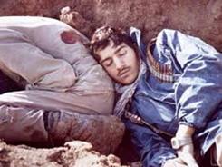 ميهماني لاله‌ها در دنا