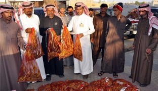 گرانی بی‌سابقۀ ملخ در عربستان + تصاویر